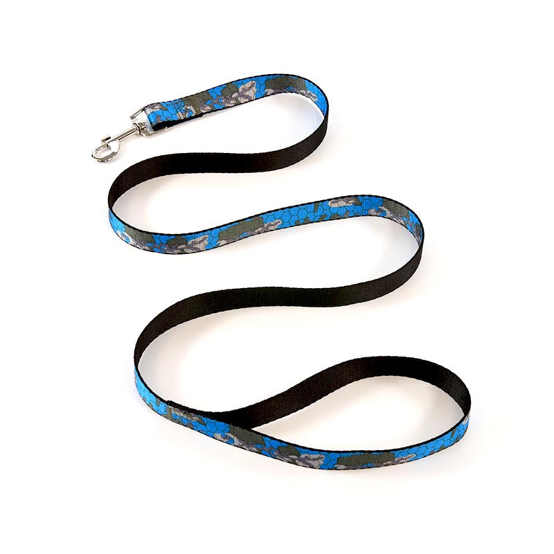 Dog Leash Set Blue