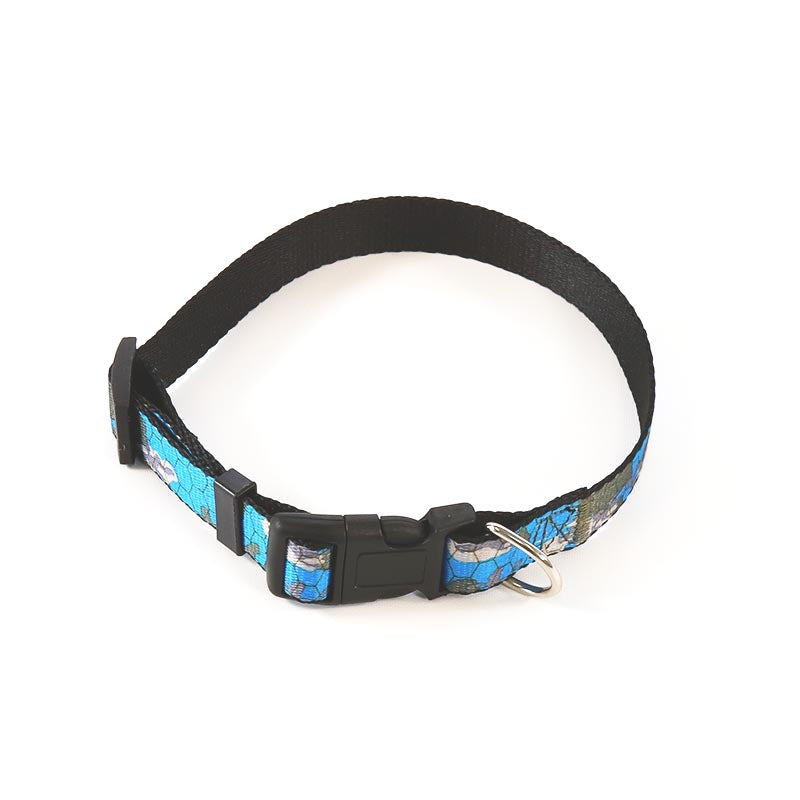 Dog Leash Set Blue