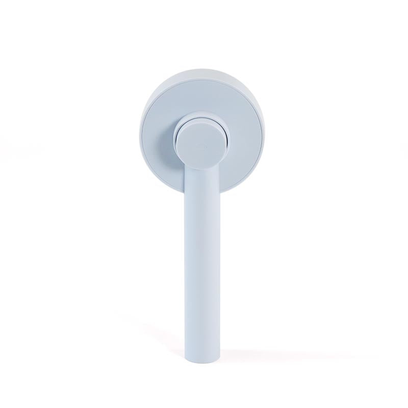 Beautyfur Pet Magic Brush