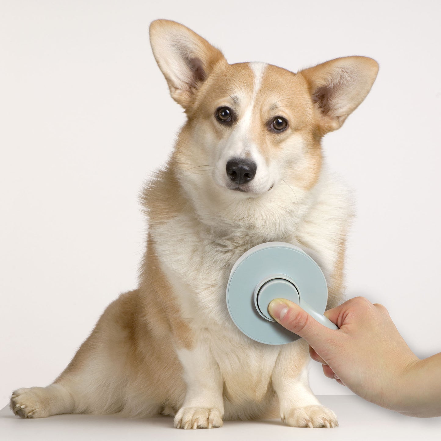Beautyfur Pet Magic Brush