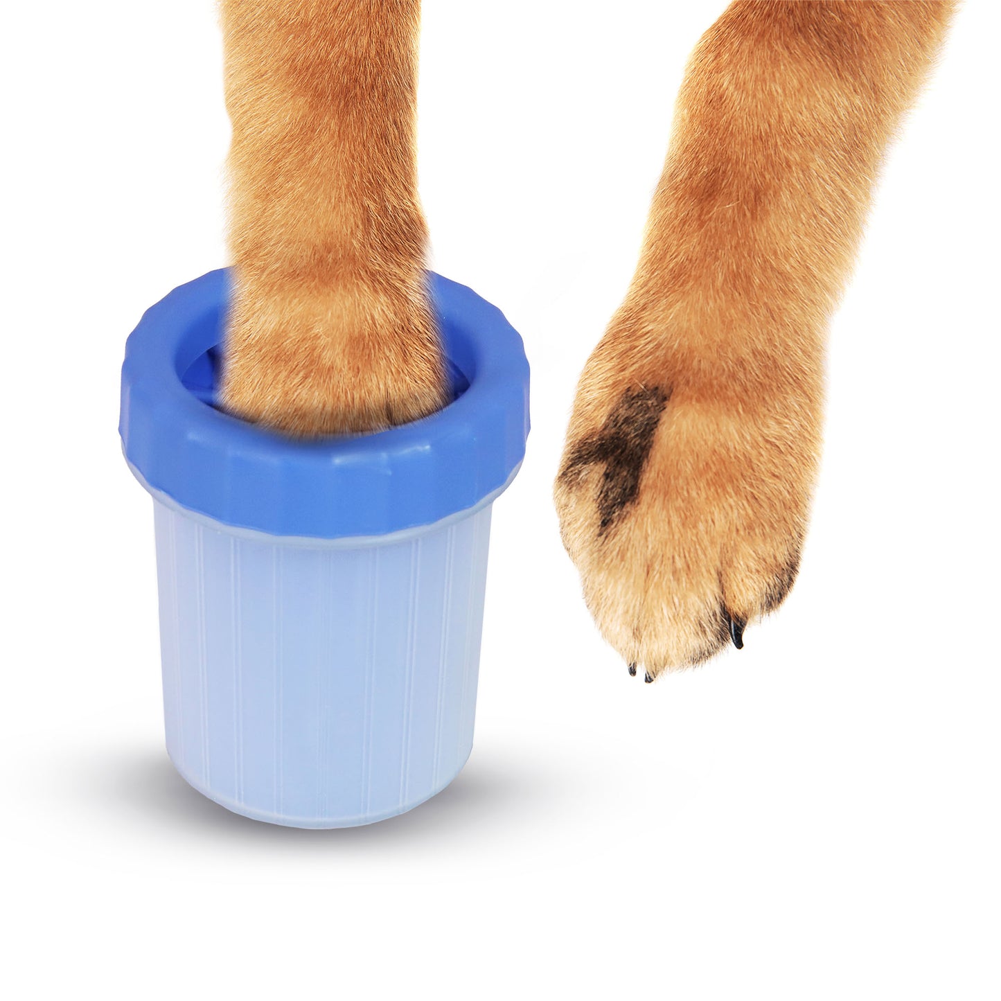 Paw Cleaner - Medium