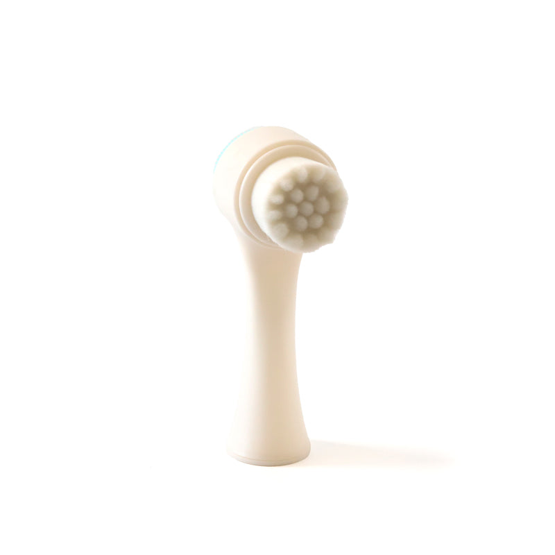 Paw Brush