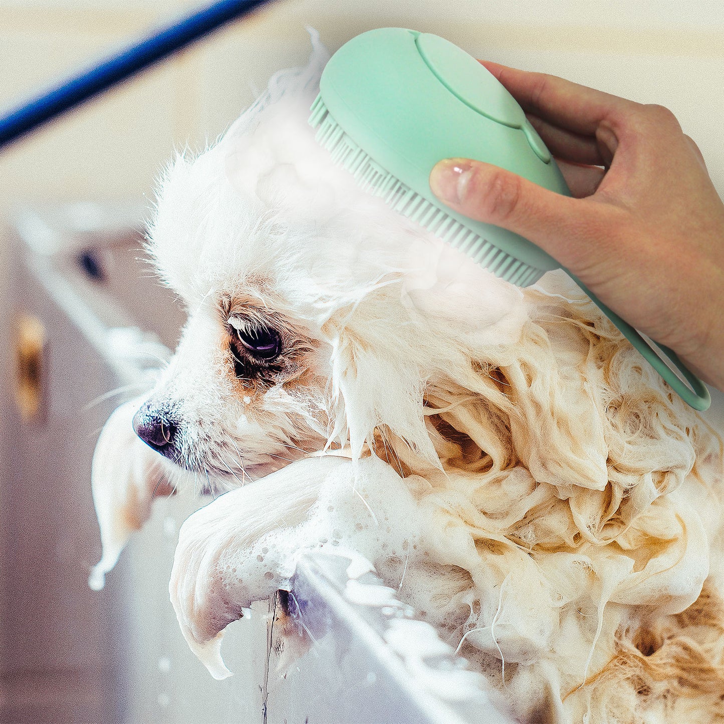 2-in-1 Shampoo Brush