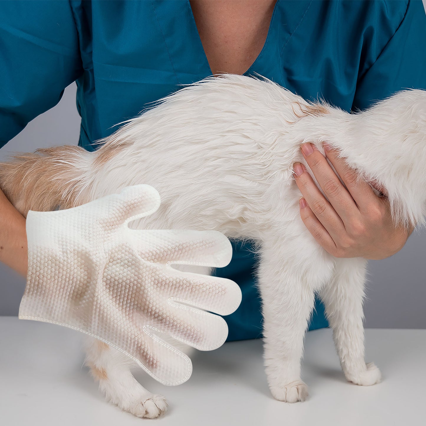 Pet Glove Wipe