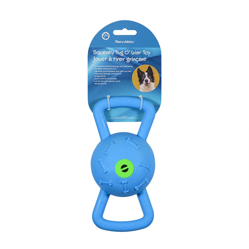 Squeaky Toy