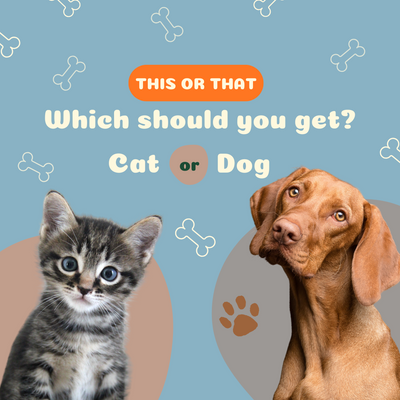 Should You Get a Cat or a Dog?