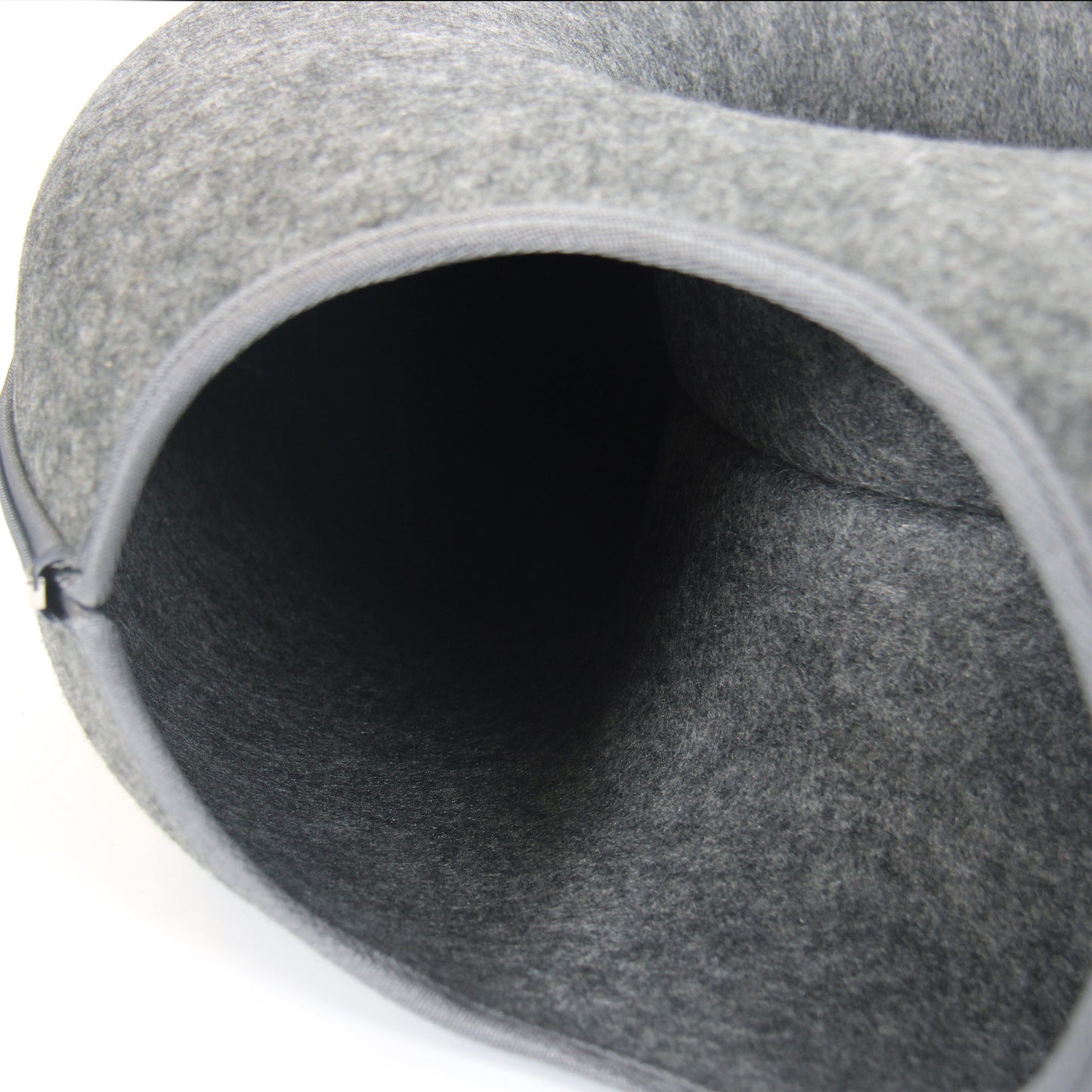 Cat Tunnel