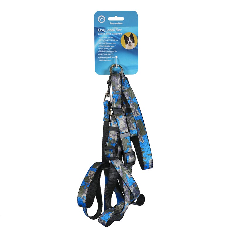 Dog Leash Set Blue
