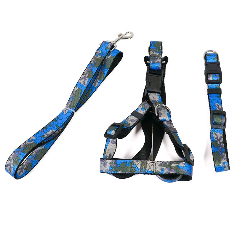 Dog Leash Set Blue