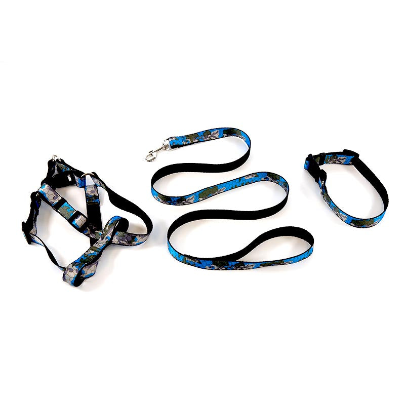 Dog Leash Set Blue