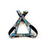 Dog Leash Set Blue