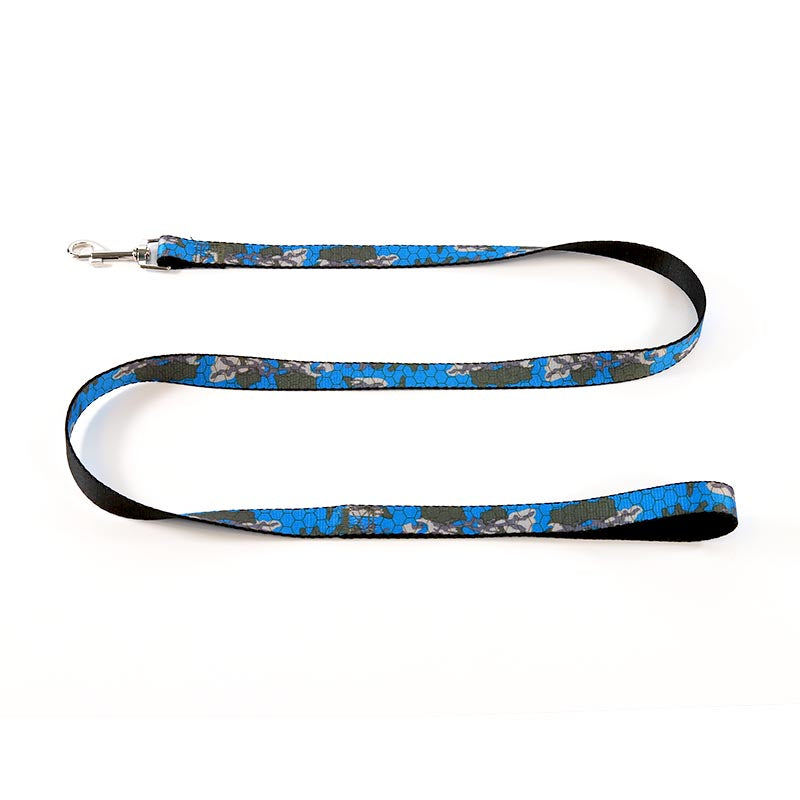 Dog Leash Set Blue