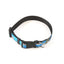 Dog Leash Set Blue