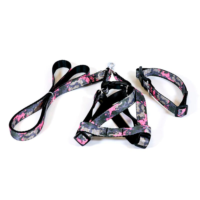 Dog Leash Set Pink