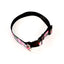 Dog Leash Set Pink
