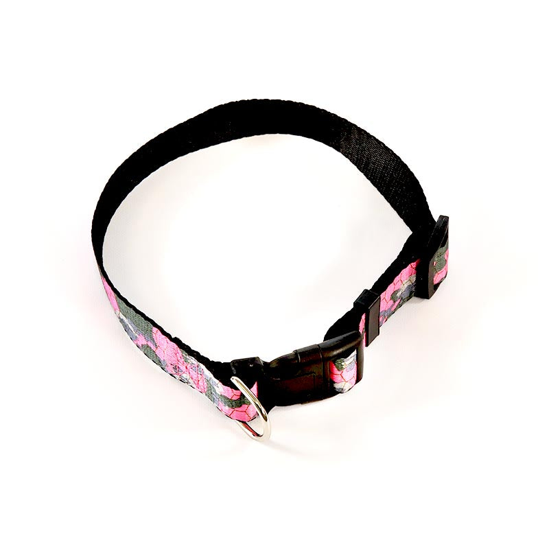 Dog Leash Set Pink