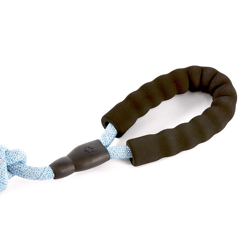Blue Rope Leash