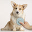 Beautyfur Pet Magic Brush