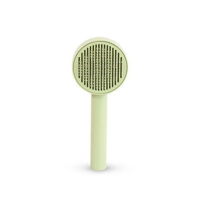 Beautyfur Pet Magic Brush