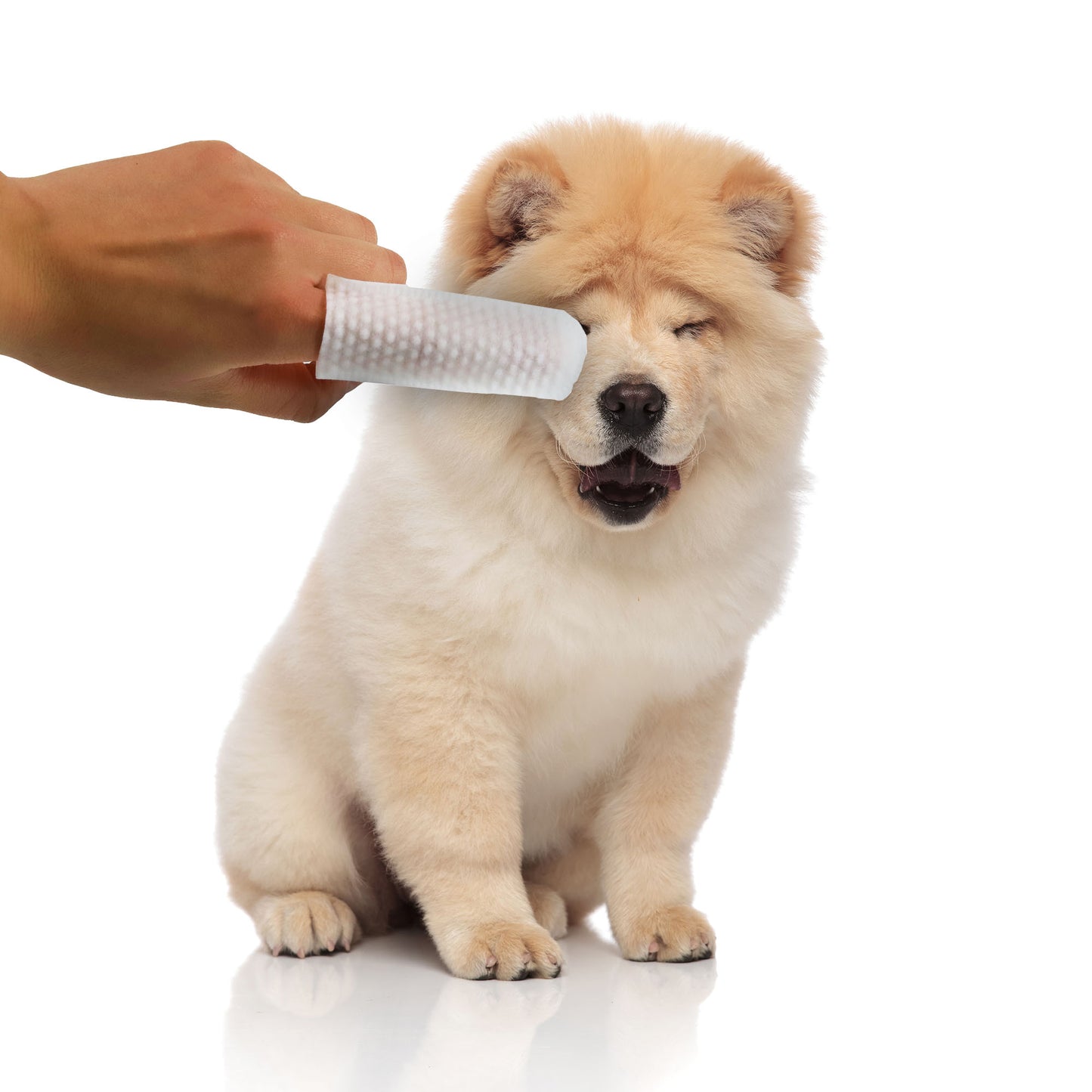 Finger Pet Wipes (Eyes & Ears)