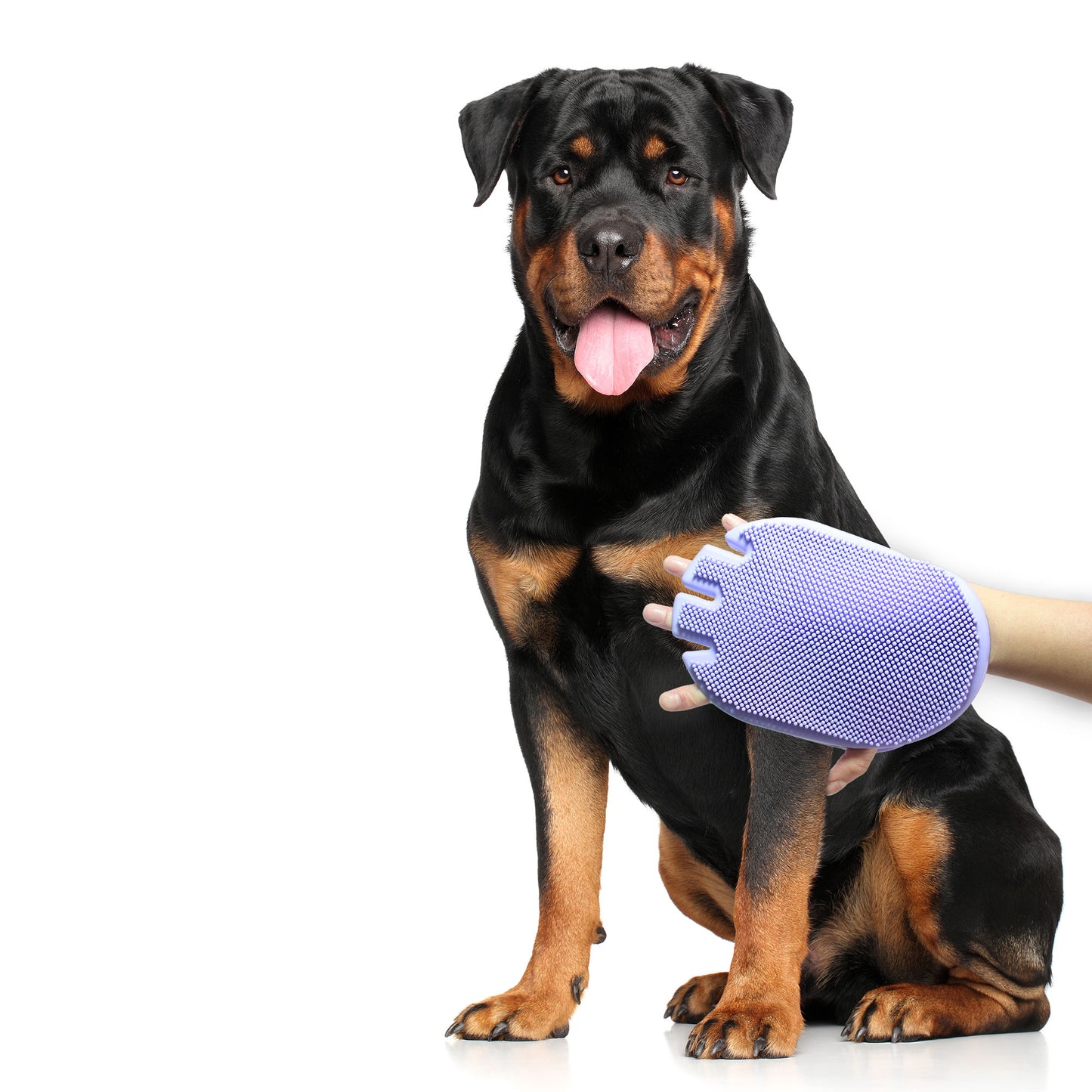 2-Sided Grooming Glove