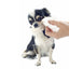 Super Sized Pet Grooming Wipes