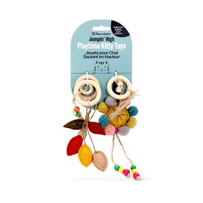 Indoor Hanging Toys