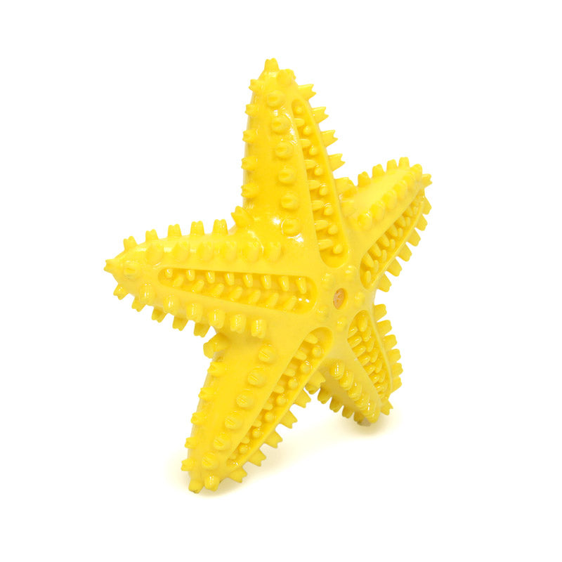 Squeaky Starfish Toy
