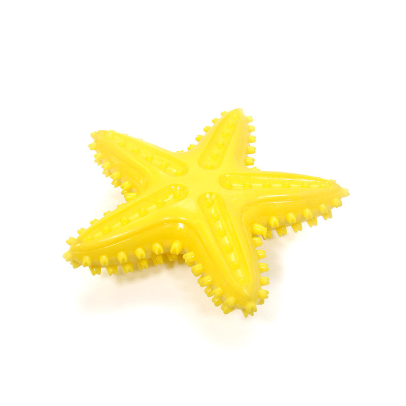Squeaky Starfish Toy