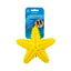 Squeaky Starfish Toy