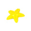 Squeaky Starfish Toy