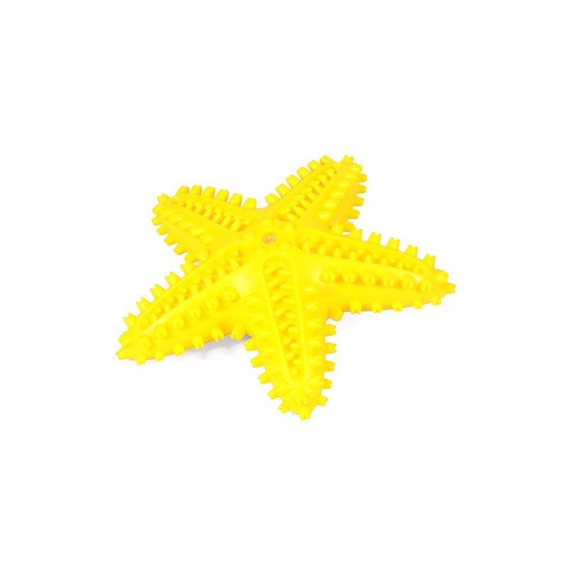 Squeaky Starfish Toy