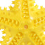 Squeaky Starfish Toy