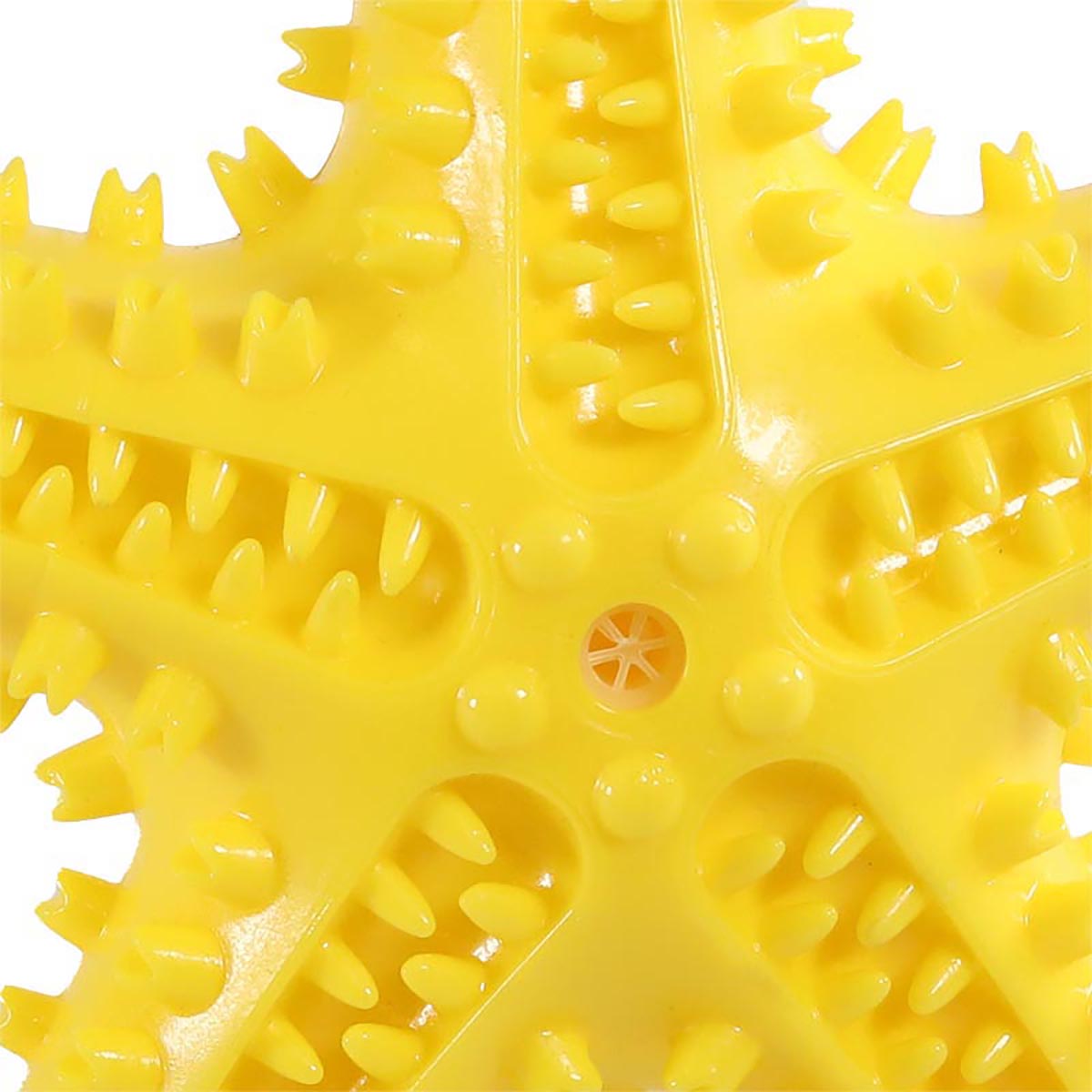 Squeaky Starfish Toy